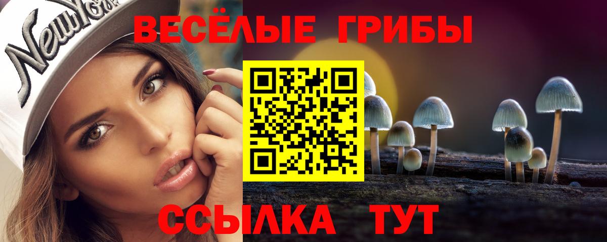 Псилоцибиновые грибы GOLDEN TEACHER Великие Луки